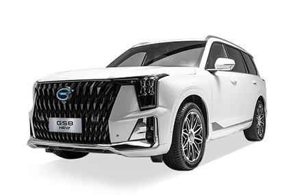 GS8 HEV GX