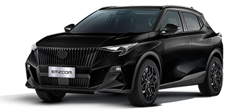 EMZOOM GT